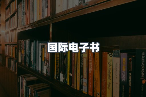 国际电子书